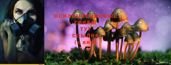 дмт Арсеньев