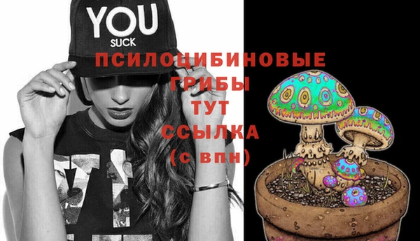 spice Армянск