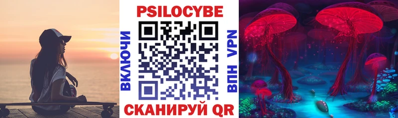 Псилоцибиновые грибы мухоморы наркошоп Высоцк