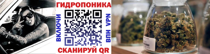 Бошки марихуана THC 21%  KRAKEN   Высоцк 